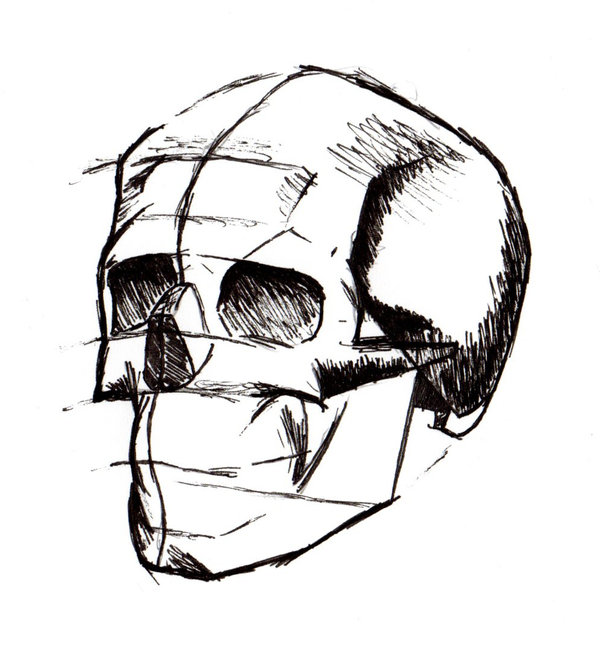 600x646 Skull Sketch Practice By Lavender Crayon - Skull Sketch Art