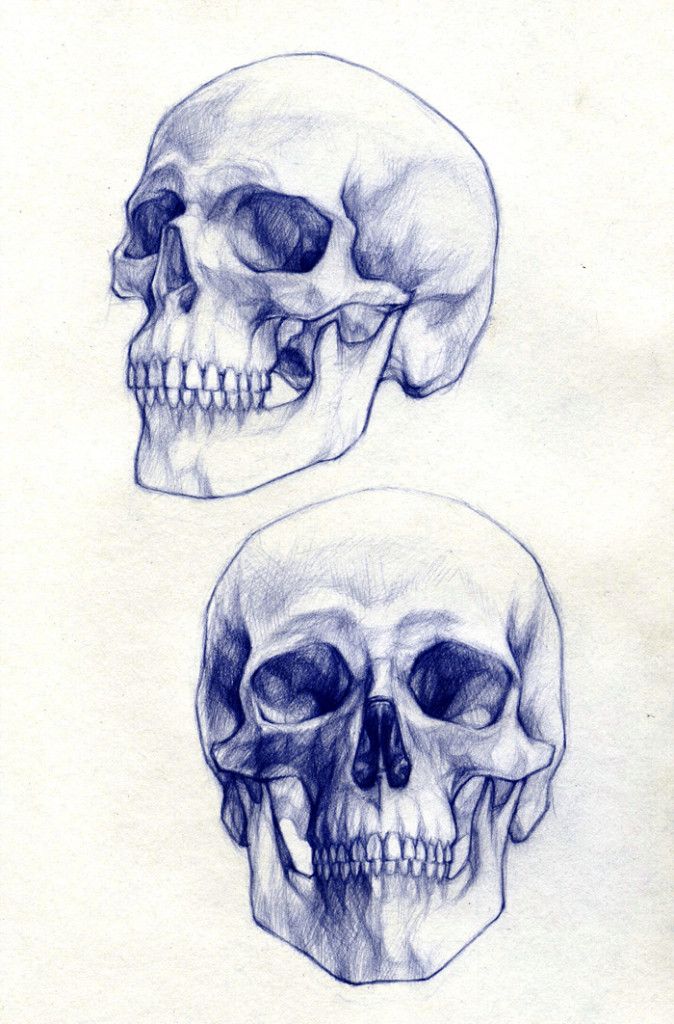 674x1024 Skull Drawings 1 Illustration Drawings, Skull And - Skull Sketch Art