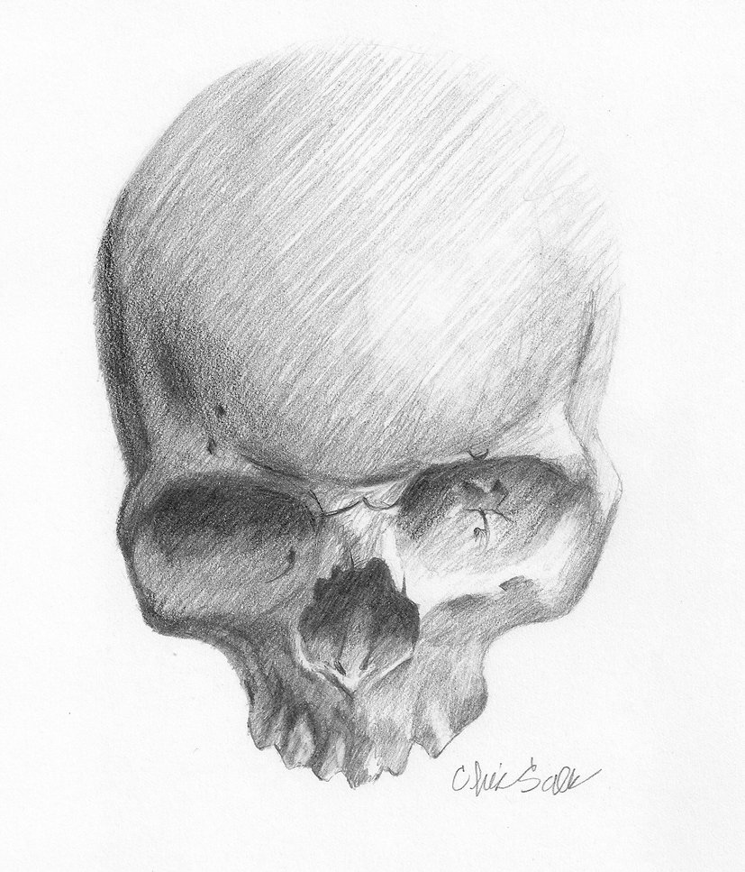 827x967 Sketchart On - Skull Sketch Art