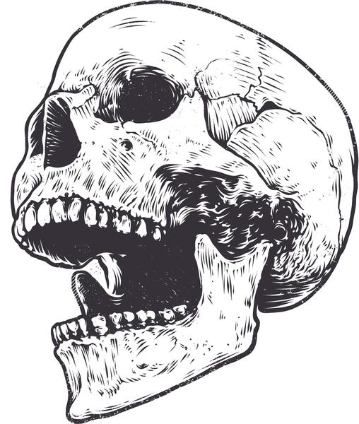 508x600 Cool Pen Sketch Art Realistic Human Skull Cartoon Vinyl Sticker - Skull Sketch Art