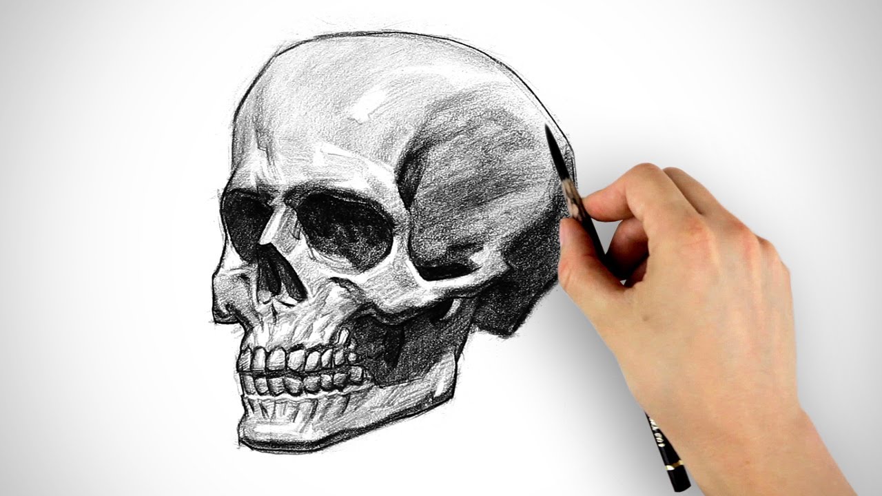 1280x720 Draw A Skull - Skull Sketch Art