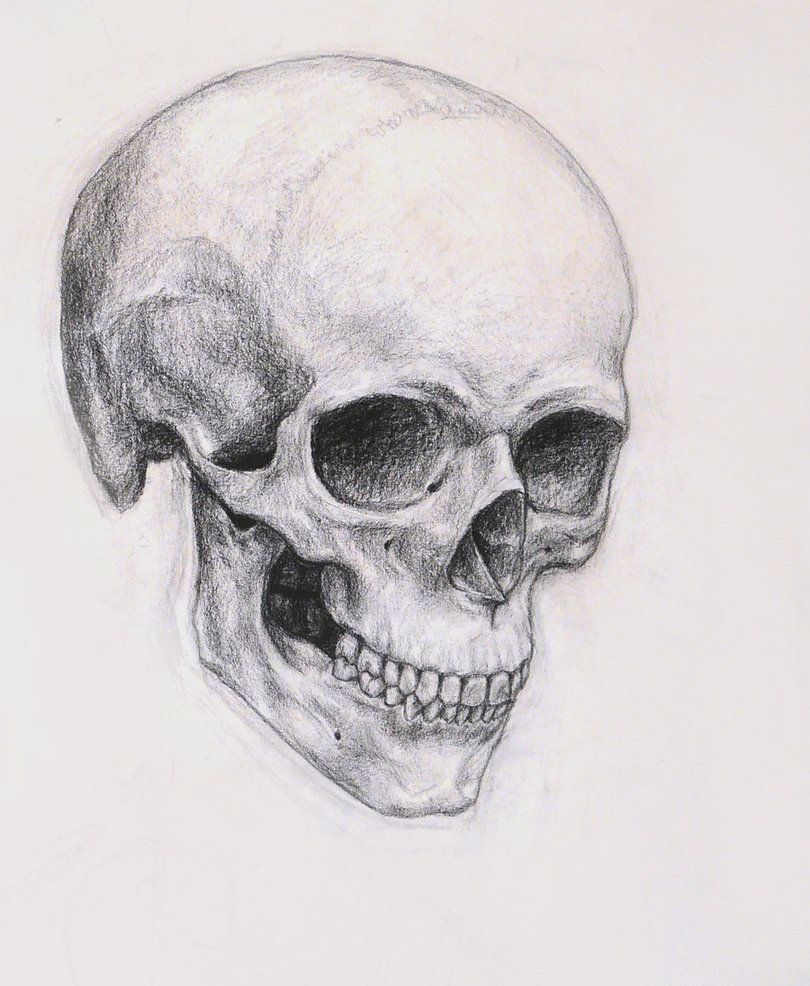 810x986 A Beautiful Skull Sketch. Skulls - Skull Sketch Easy