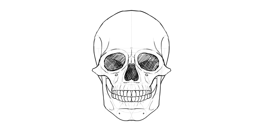 850x421 How To Draw A Skull - Skull Sketch Easy