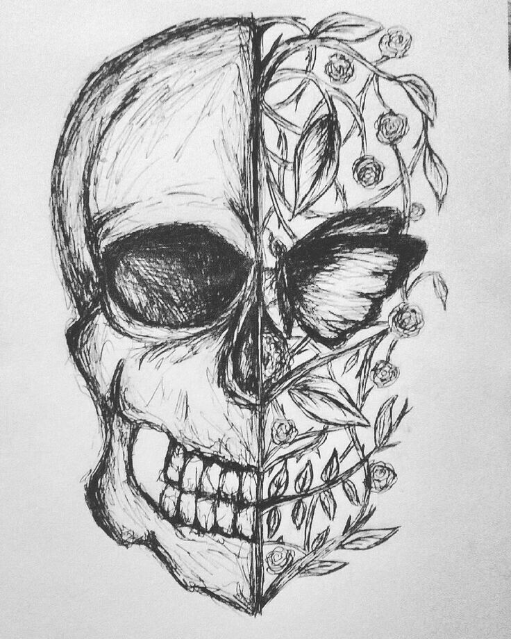cool skull sketch