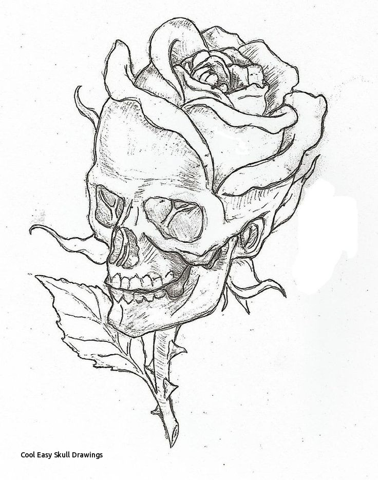 Cool Skull Sketches Chelss Chapman