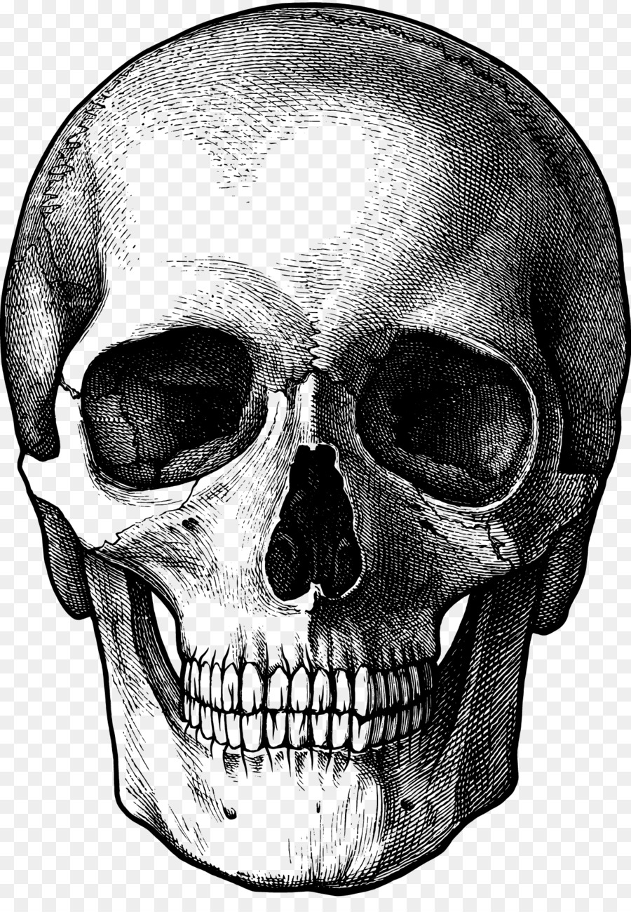 900x1300 Drawing Skull Fun Stuff To Draw Art Sketch - Skull Sketch Images
