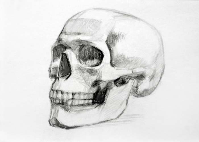 700x500 Drawing Skulls - Skull Sketch Images