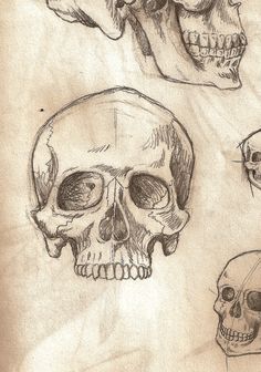 236x336 How To Draw A Skull By Howtodrawitall On @ Skulls - Skull Sketch Images