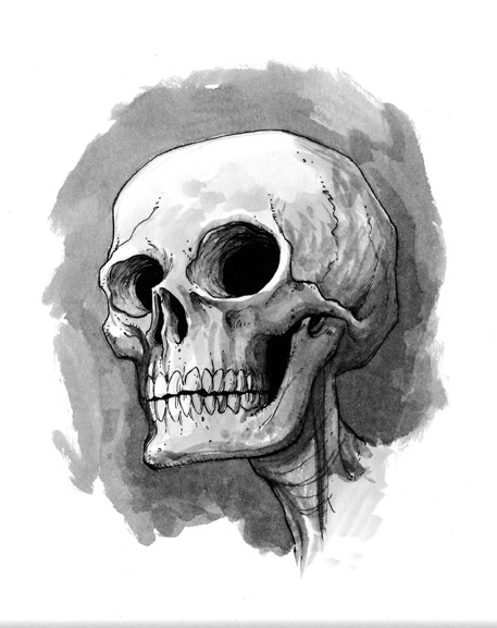 457x577 Skull Sketch By Alanrobinson - Skull Sketch Images