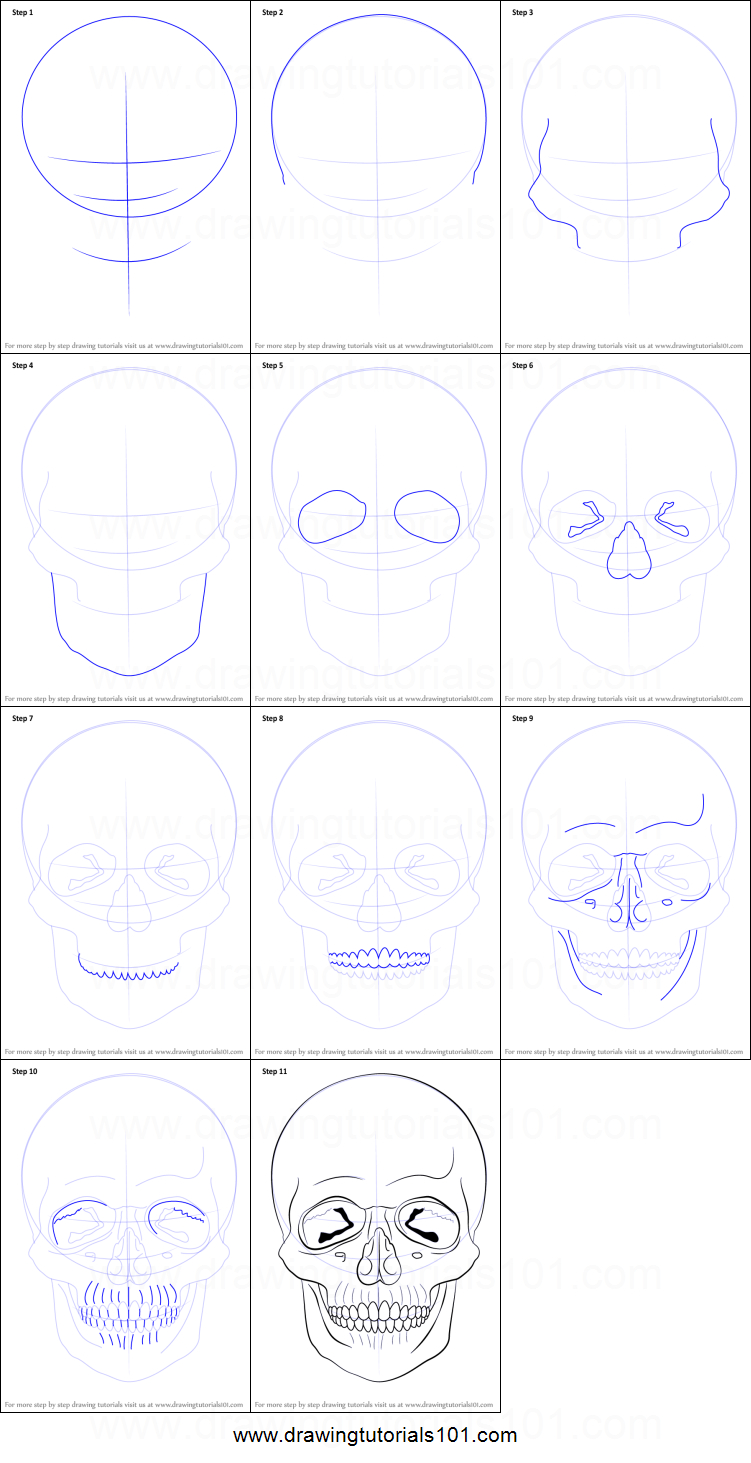 Skull Sketch Step By Step at PaintingValley.com | Explore collection of ...