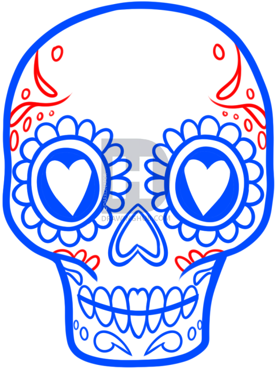 539x720 How To Draw A Sugar Skull Easy, Step By Step, Drawing Guide, By - Skull Sketch Step By Step