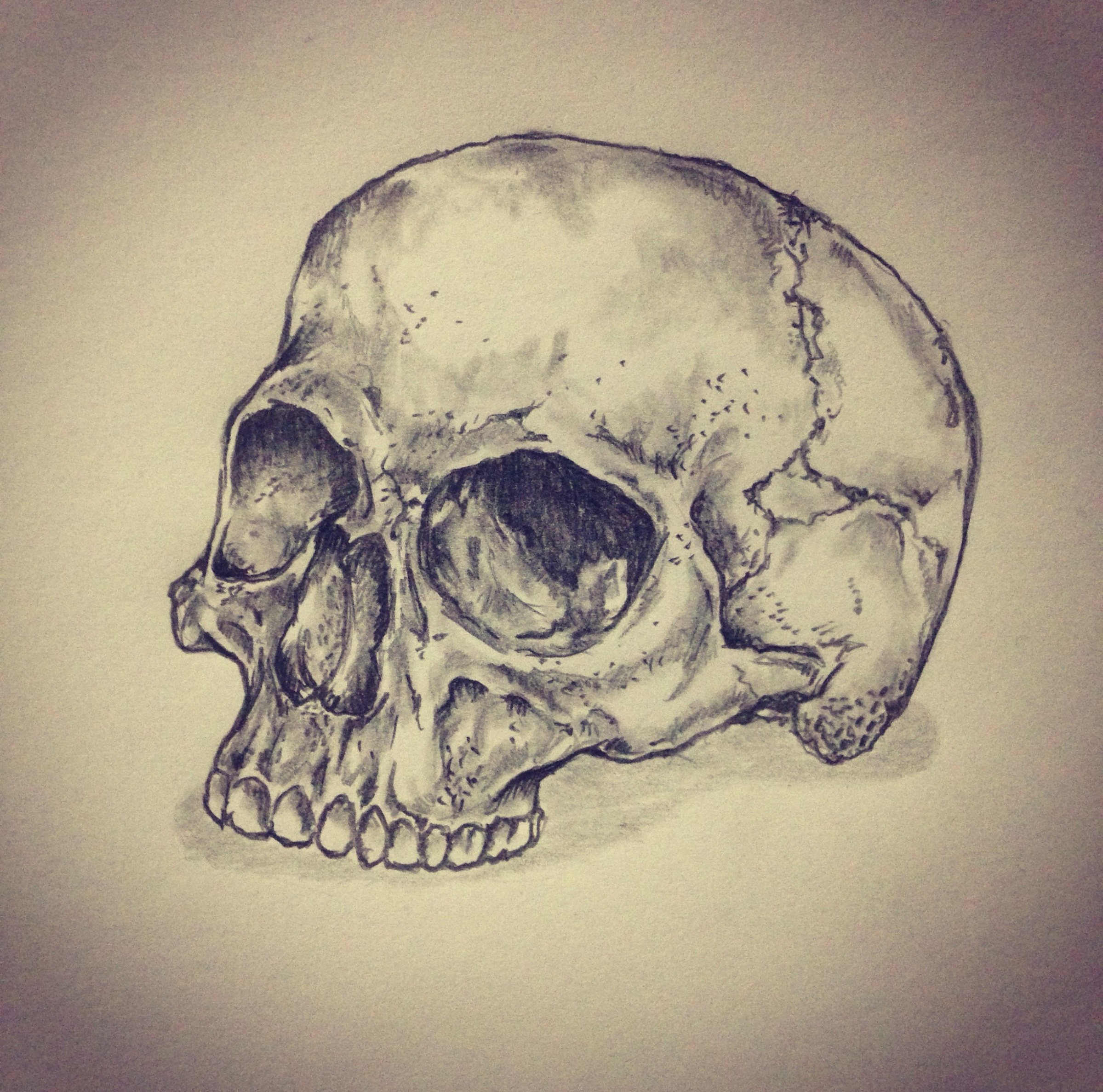 2399x2374 How Tattoo Sketches Of Skulls Can Increase Your Profit! Tattoo - Skull Tattoo Sketch