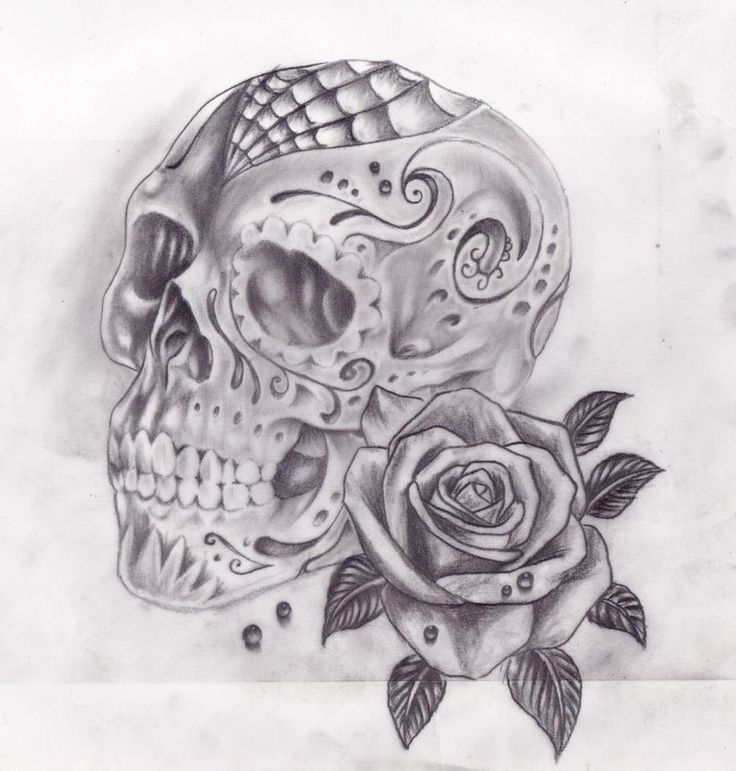 Skull With Rose Sketch at PaintingValley.com | Explore collection of ...