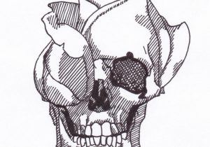 300x210 Drawing Of Skulls And Roses Skull Rose Sketch Ink Envy Ideas - Skull With Rose Sketch