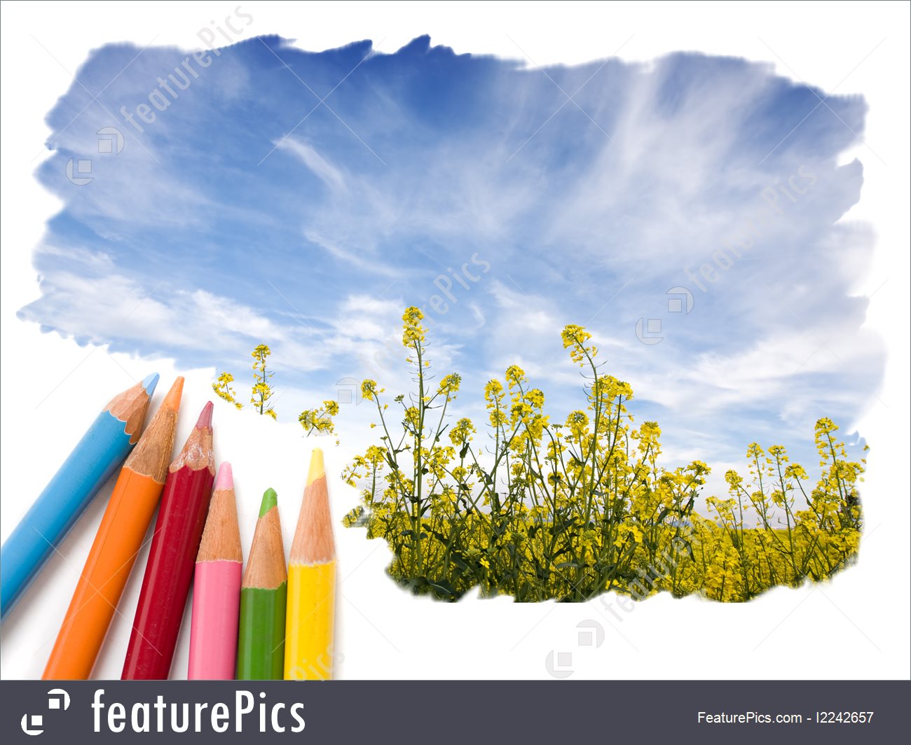1300x1064 Picture Of Color Pencil Drawing Open Blue Sky Landscape - Sky Pencil Sketch