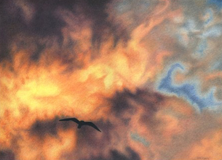 445x321 Drawing Basics Colored Pencil Drawings Of Natural Objects - Sky Pencil Sketch