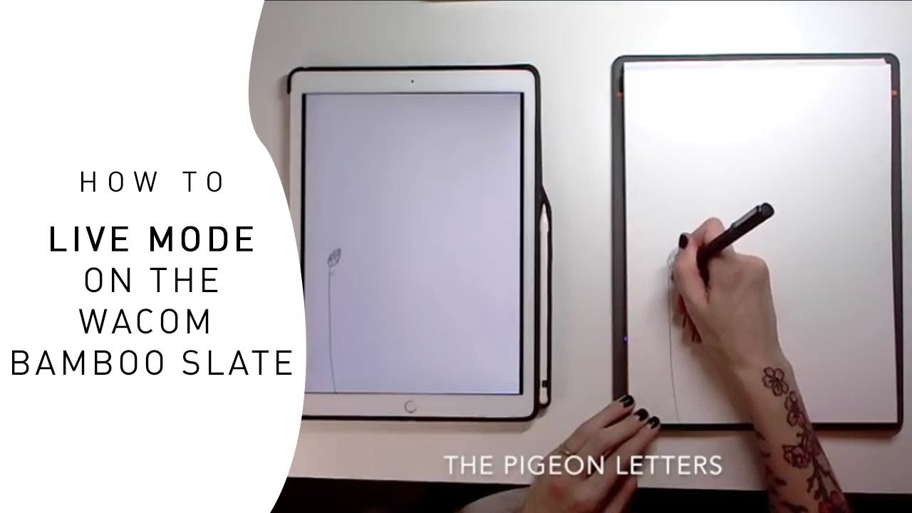 1280x720 How To Use Live Mode On The Wacom Bamboo Slate - Slate Sketch