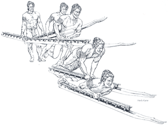 340x254 Hawaiian Boarding Company - Sled Sketch
