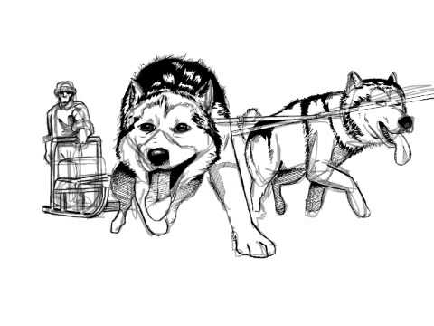 480x360 Dog Sled Sketch - Sled Sketch