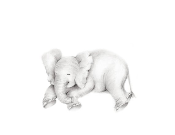 570x440 Elephant Nursery Art Print Sleeping Baby Elephant Gender Etsy - Sleeping Baby Sketch