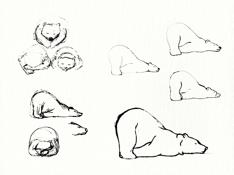 800x600 Hibernating Bear Sketches By Michelle Kowalski - Sleeping Bear Sketch