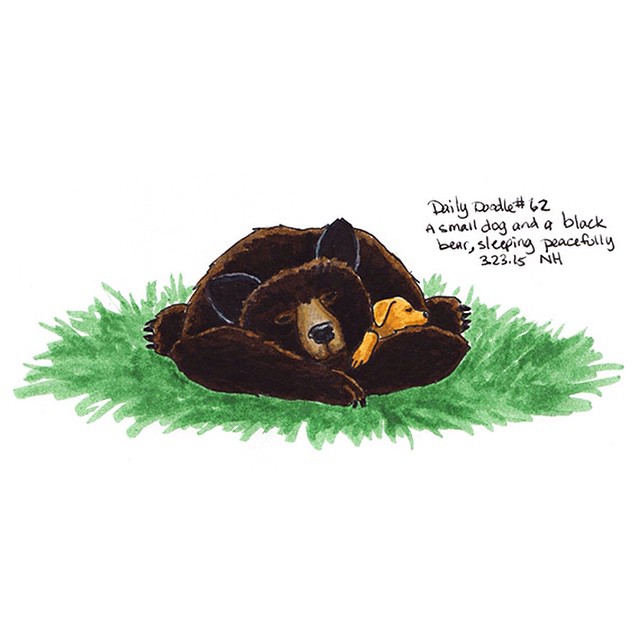 640x640 No. 62 A Small Dog And A Black Bear, Sleeping Peacefully - Sleeping Bear Sketch