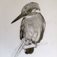 236x236 Quick Sketch Of A Sleeping - Sleeping Bear Sketch