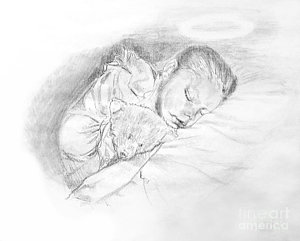 300x241 Sleeping Bear Drawings Fine Art America - Sleeping Bear Sketch