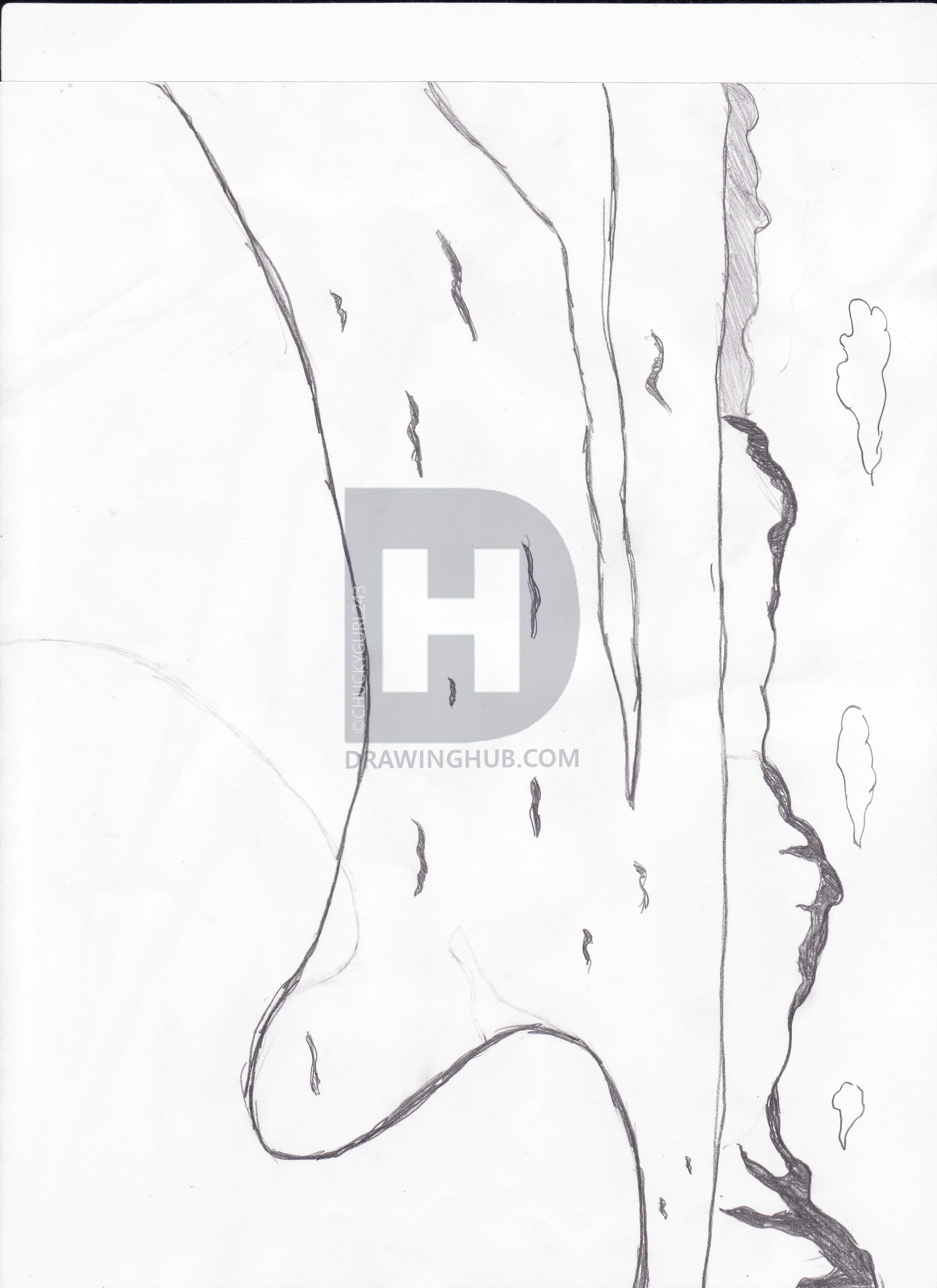 2548x3504 Sleeping Bear Dunes National Park,michigan Drawing By - Sleeping Bear Sketch