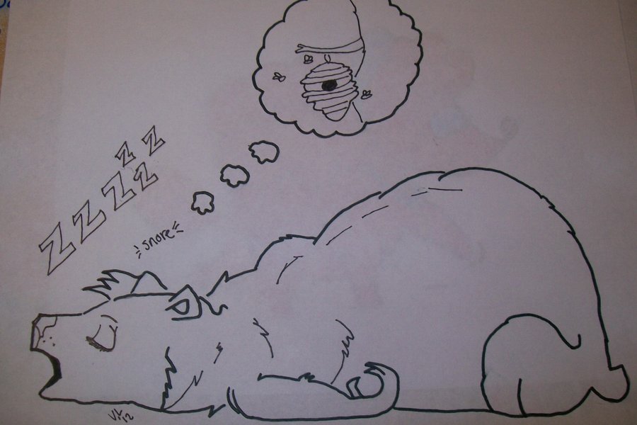 900x600 Sleeping Bear Sketch By Val912 - Sleeping Bear Sketch