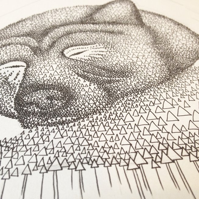 654x654 Sleeping Bear Illustration - Sleeping Bear Sketch