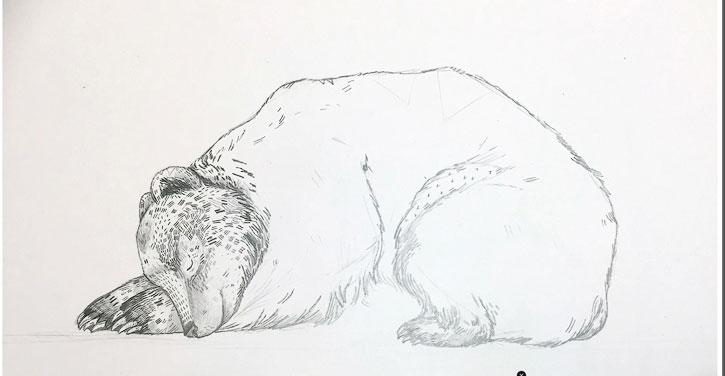 725x376 Step By Step Tutorial In Adobe Photoshop - Sleeping Bear Sketch