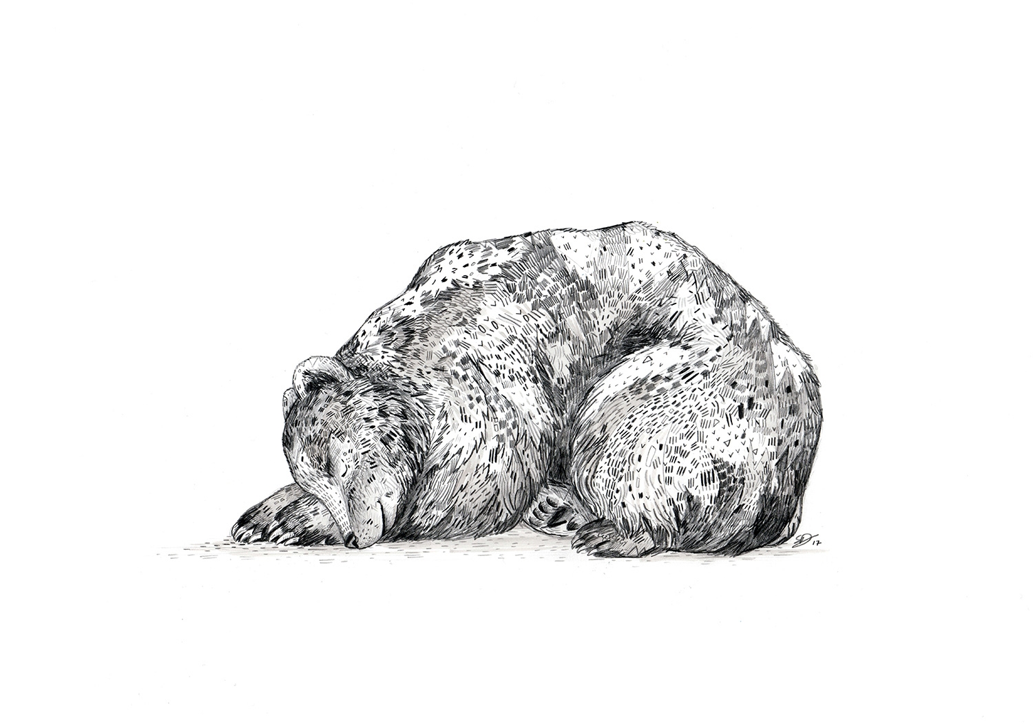 1500x1052 Combine Separate Sketches Into One Beautiful Digital Illustration - Sleeping Bear Sketch