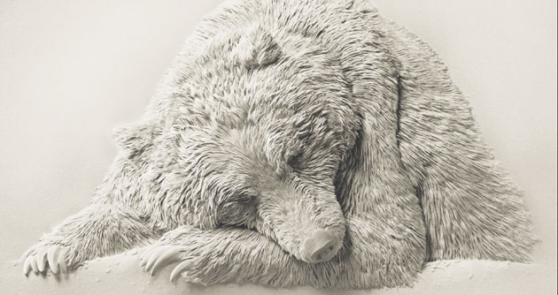 630x334 From Up Close It Looks Like A Sleeping Polar Bear, But Take A - Sleeping Bear Sketch