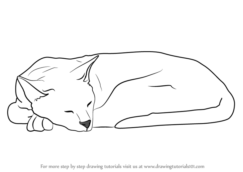 800x566 Learn How To Draw A Sleeping Cat (Cats) Step By Step Drawing - Sleeping Cat Sketch