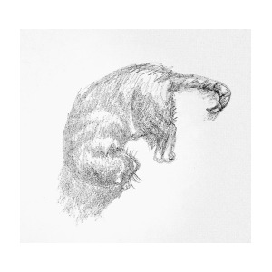 Sleeping Cat Sketch at PaintingValley.com | Explore collection of ...