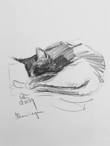375x499 Sleeping Cat Drawings For Sale Saatchi Art - Sleeping Cat Sketch