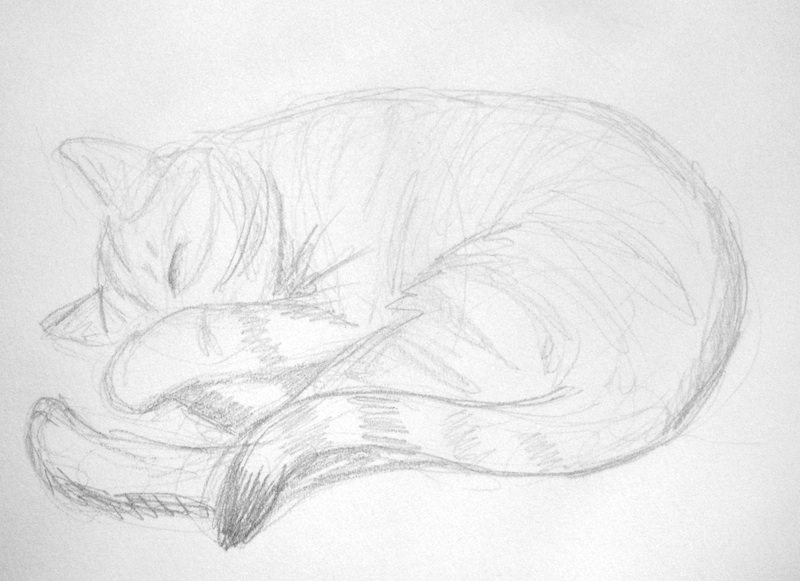 800x581 Cat Two Elleths - Sleeping Cat Sketch