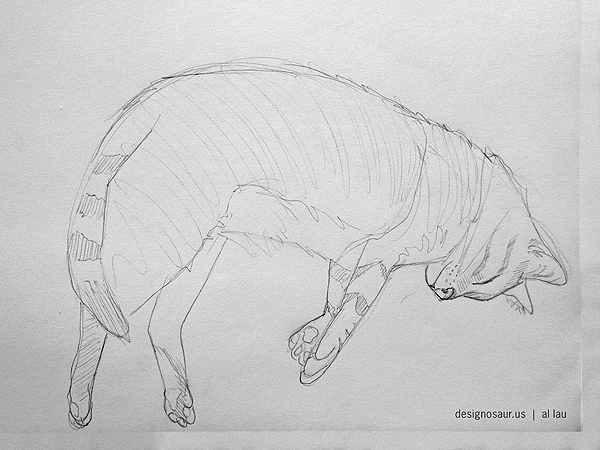 600x450 Sketch Cat Sleeping Blog.designosaur.us - Sleeping Cat Sketch