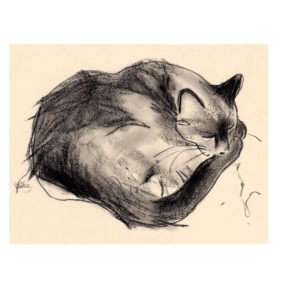980x1000 Sleeping Cat - Sleeping Cat Sketch