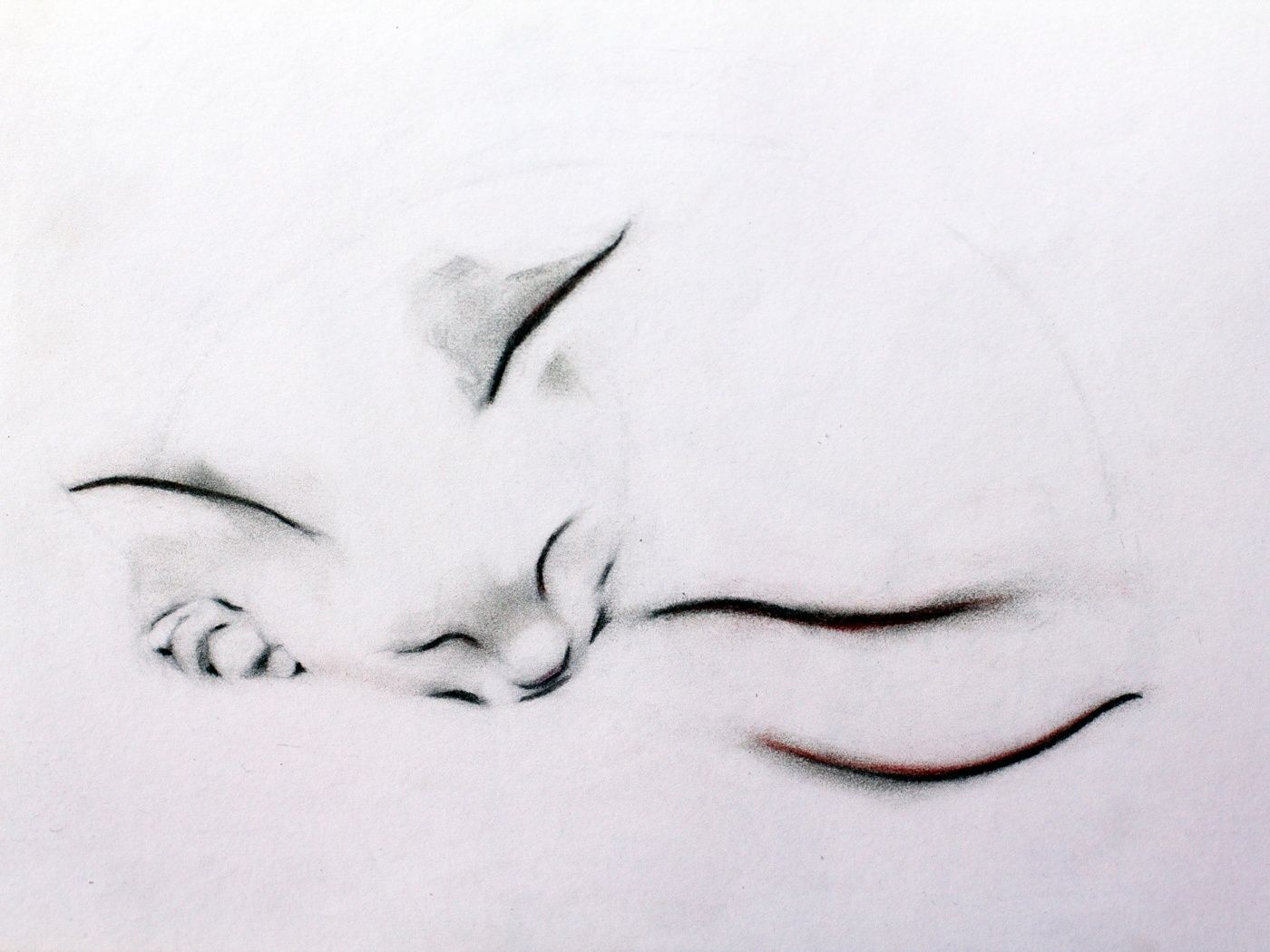 1400x1050 Sleeping Cat Tattoo You Are Here Home Tattoo Designs - Sleeping Cat Sketch