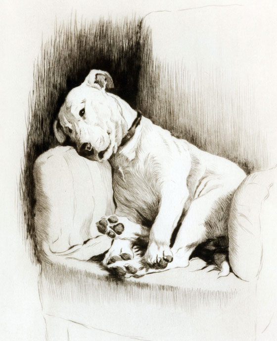 560x688 Gurney Journey The Sleeping Dogs Of Cecil Aldin - Sleeping Dog Sketch