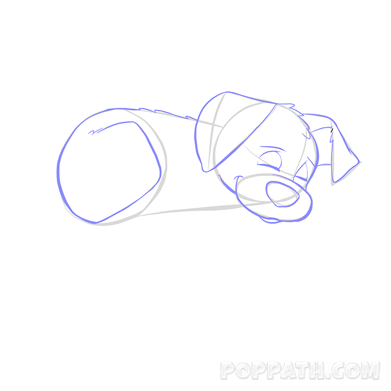 800x800 How To Draw A Sleeping Dog Pop Path - Sleeping Dog Sketch