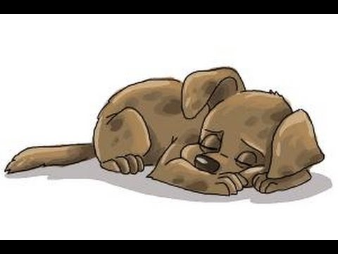 480x360 How To Draw A Sleeping Dog - Sleeping Dog Sketch