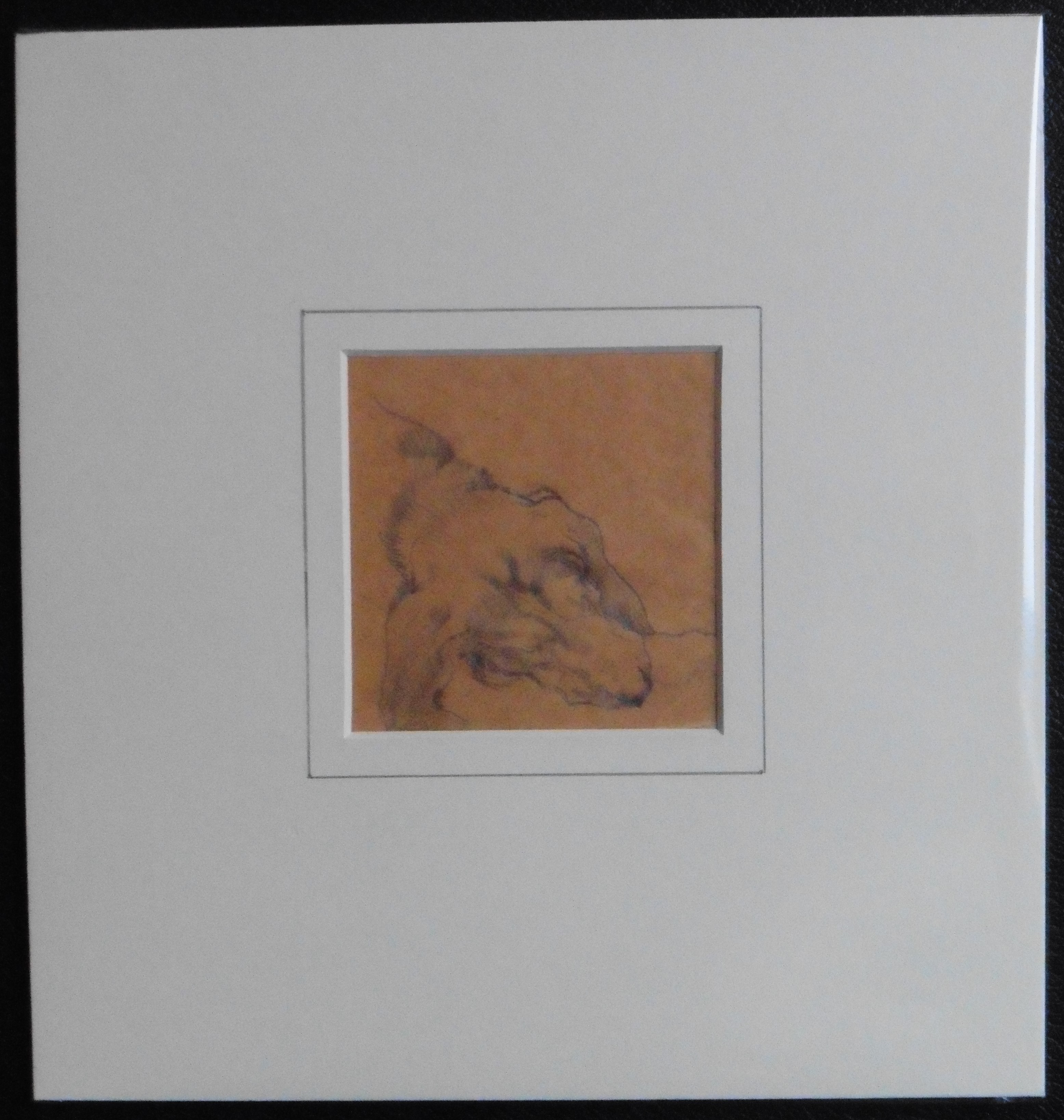 3111x3277 Pencil Sketch - Sleeping Dog Sketch