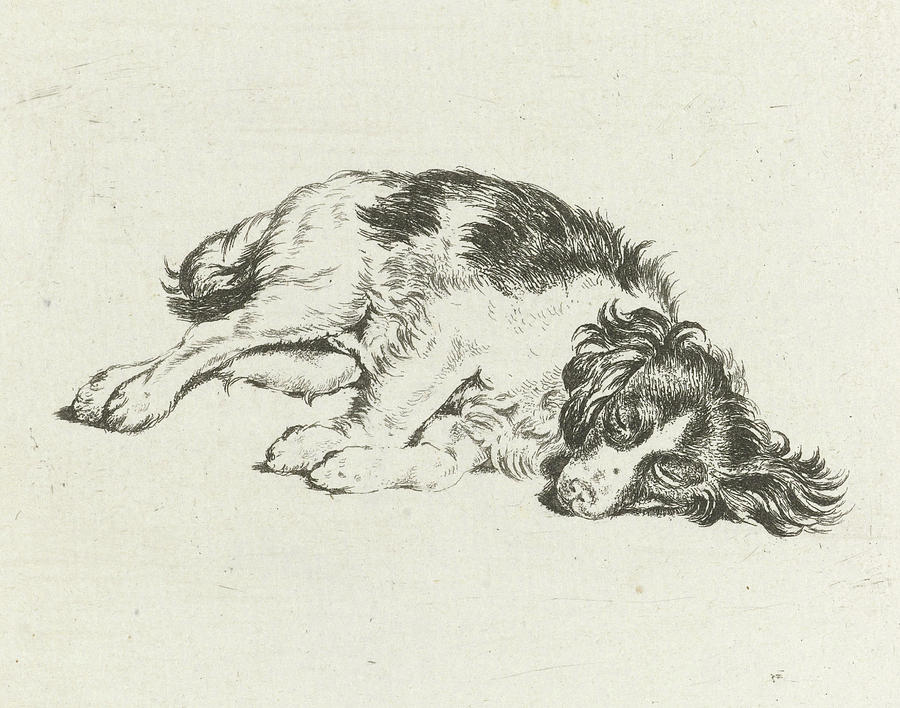 900x708 Sleeping Dog, Hendrik Godart De Mare Drawing By Hendrik Godart De - Sleeping Dog Sketch