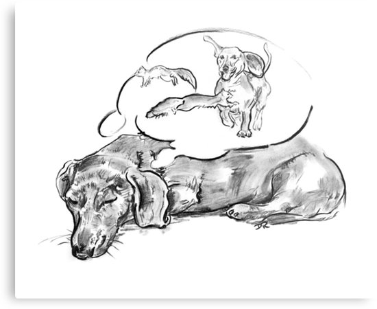 550x450 Sleeping Dog - Sleeping Dog Sketch