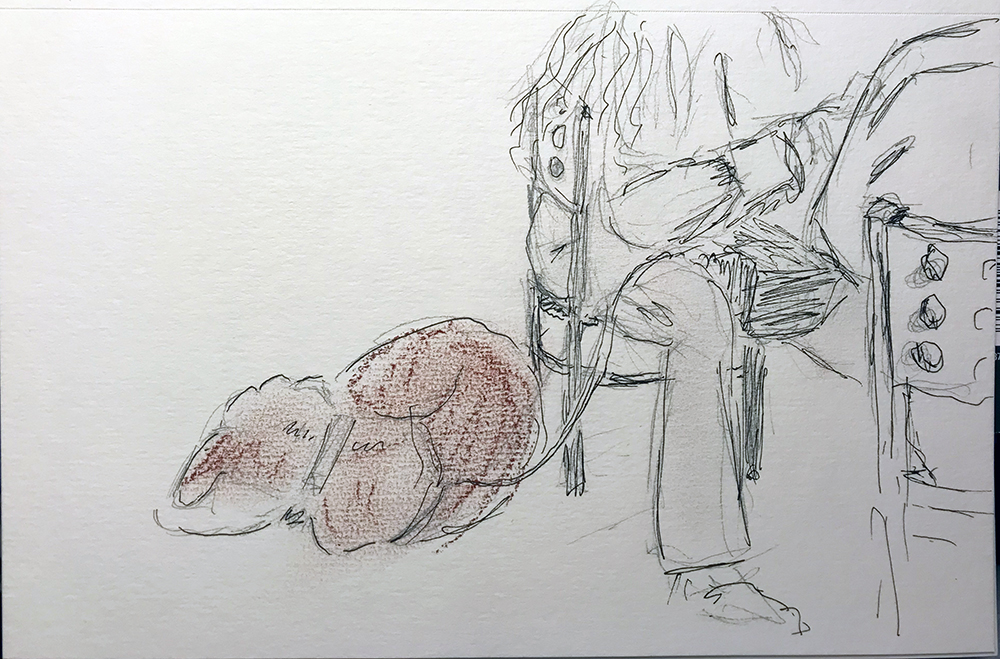 1000x659 Sleeping Dog Brotherly Love - Sleeping Dog Sketch