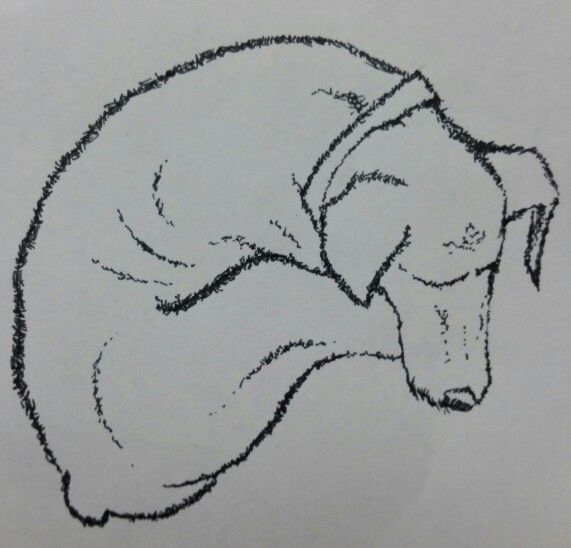 571x548 Sleeping Dog Doodles - Sleeping Dog Sketch