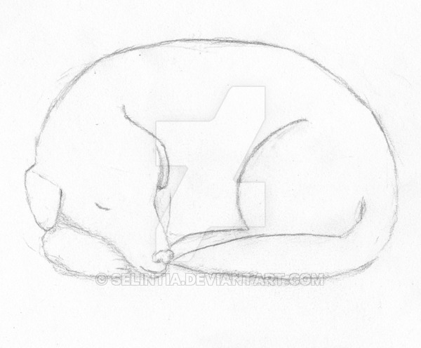 600x496 Sleeping Dog Sketch By Selintia - Sleeping Dog Sketch